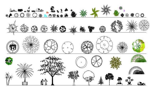 Precision Plant Elevation and Plan Files for AutoCAD