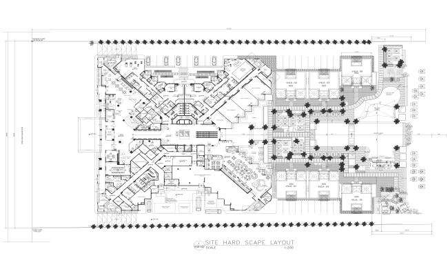 Site Hard Escape Layout DWG File for AutoCAD Design