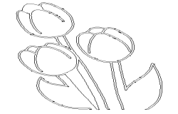 Tulip flower line art design DWG AutoCAD drawing