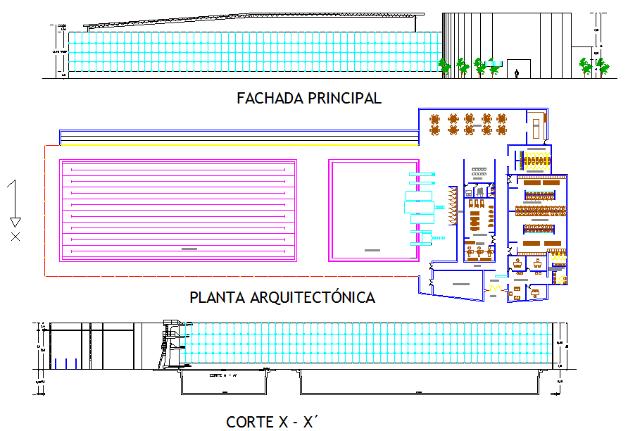 Sport centre office layout plan in DWG for architect use