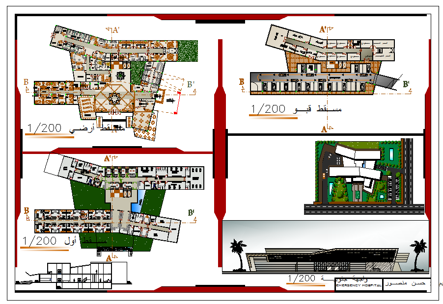 Emergency Hospital project