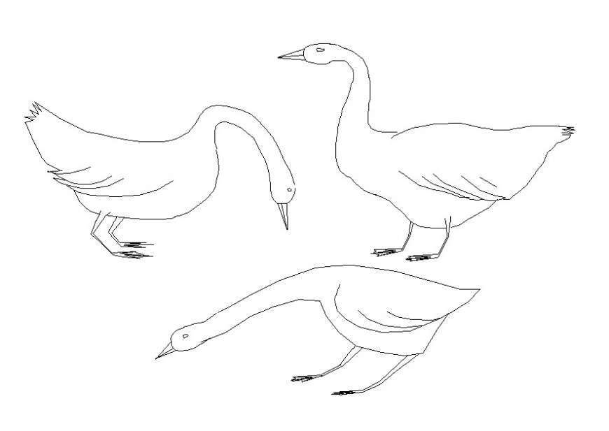 2d geese drawing cad file