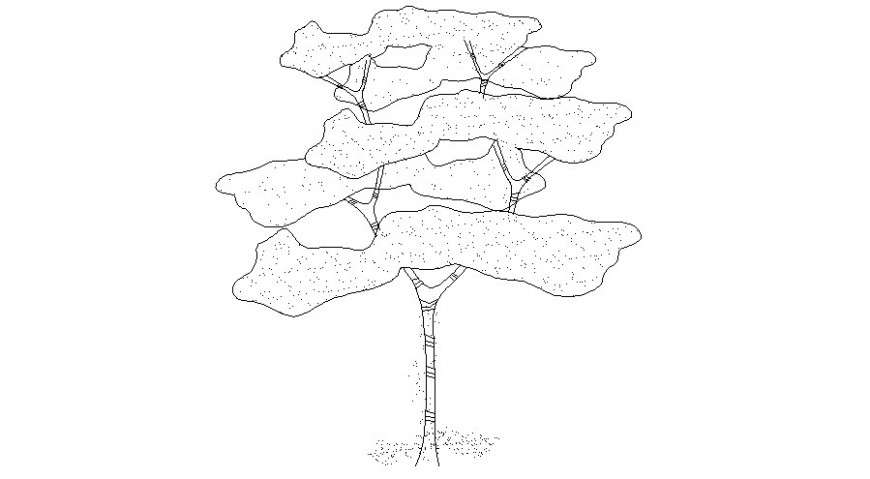 2d tree plant elevation design unit autocad file