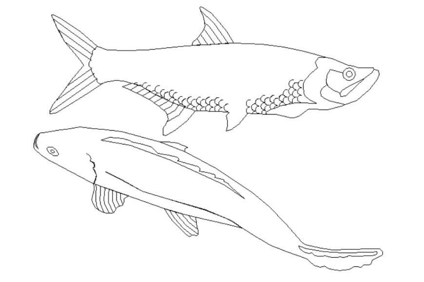 2d view drawings of aquatic animal block autocad file