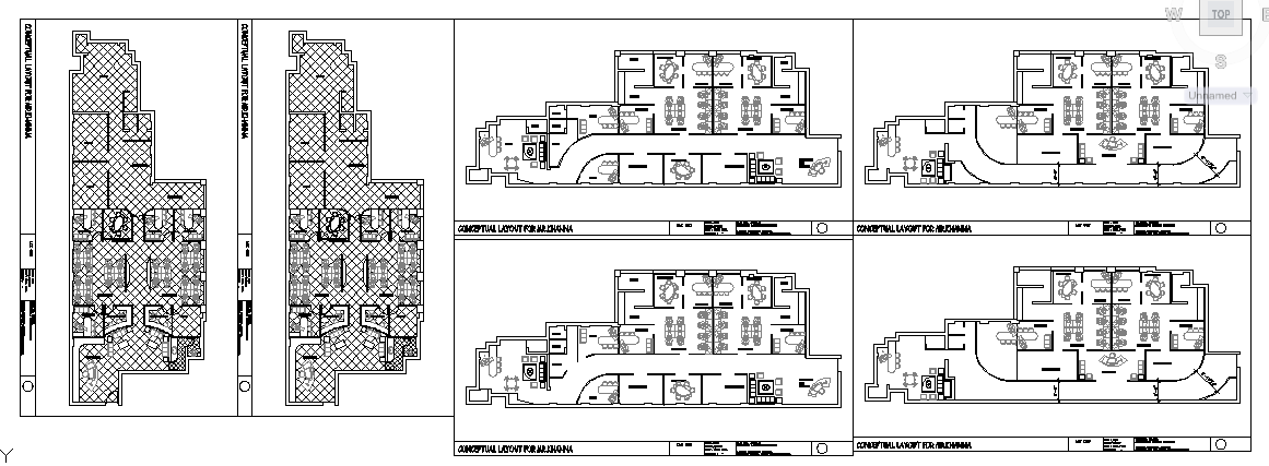 Corporate Office Design DWG with Reception and Director Cabin