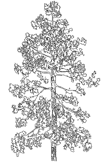 Tree Block DWG file