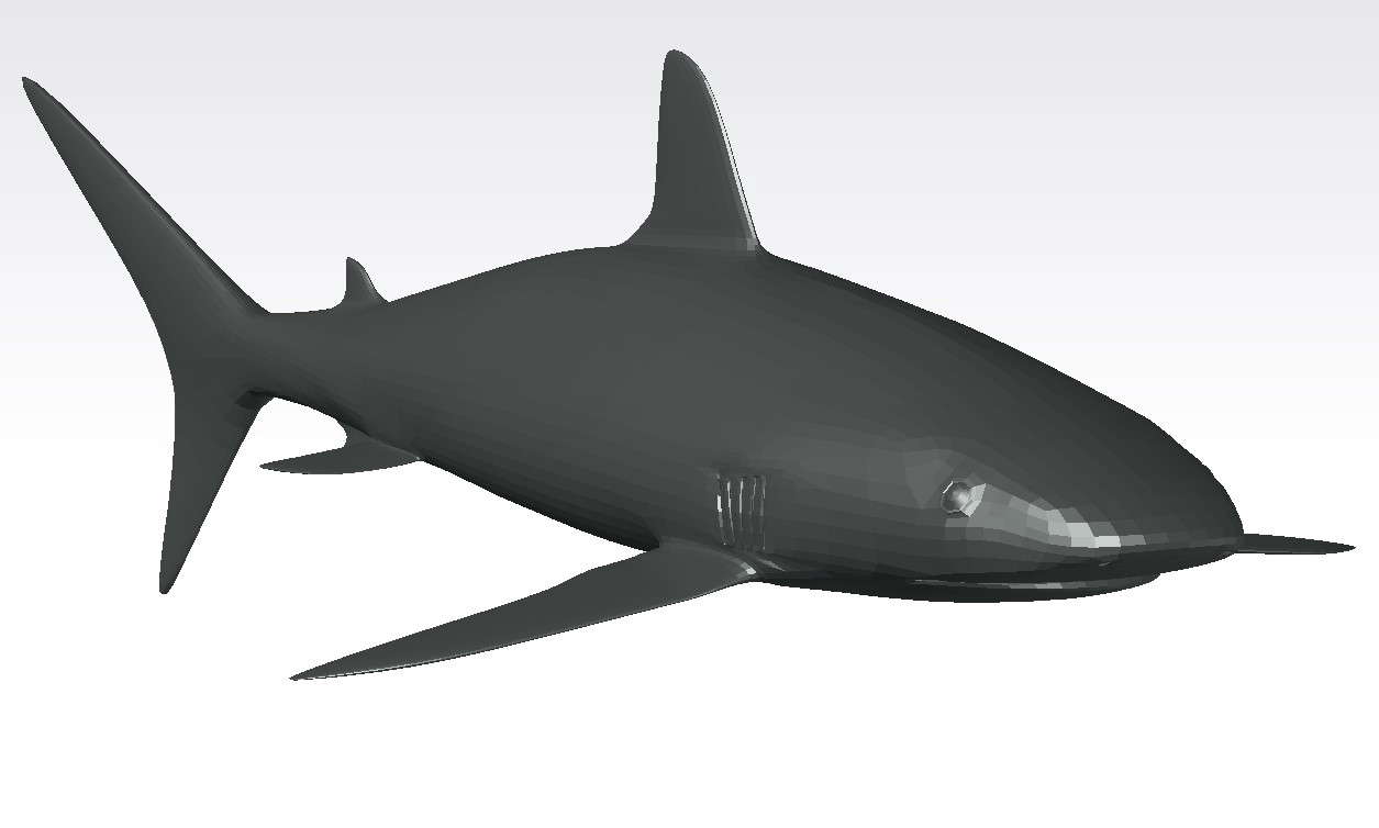3D Fish Design