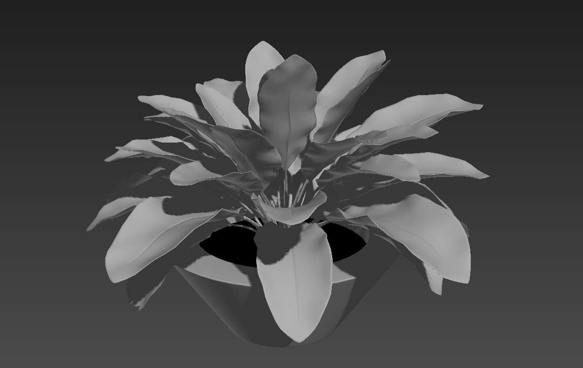 3D Flower Plant Max File