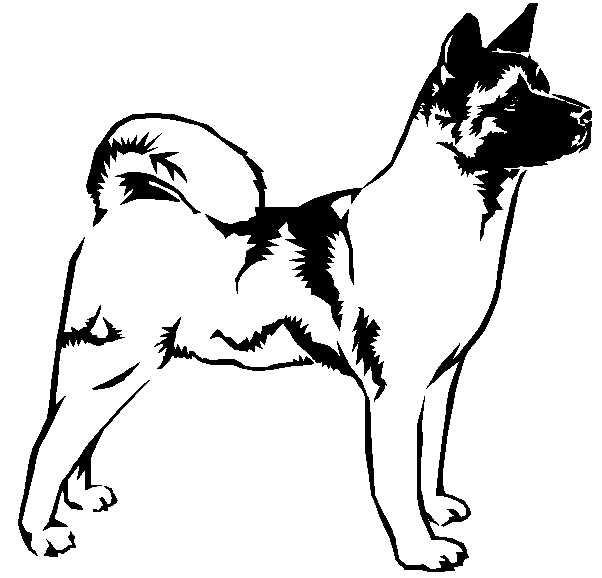 3D view of a dog 