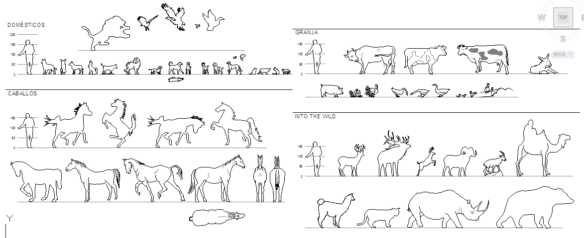 Animal Block 