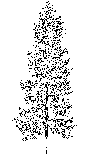 Garden tree Block