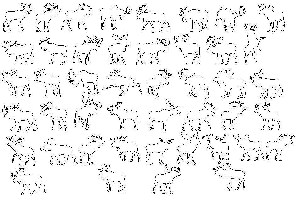Animal 2d CAD blocks design