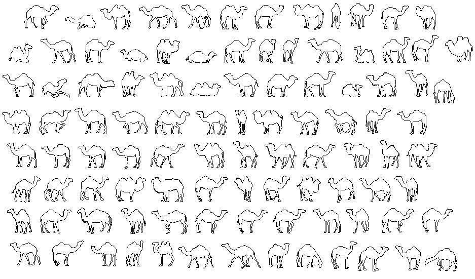 Animal block design