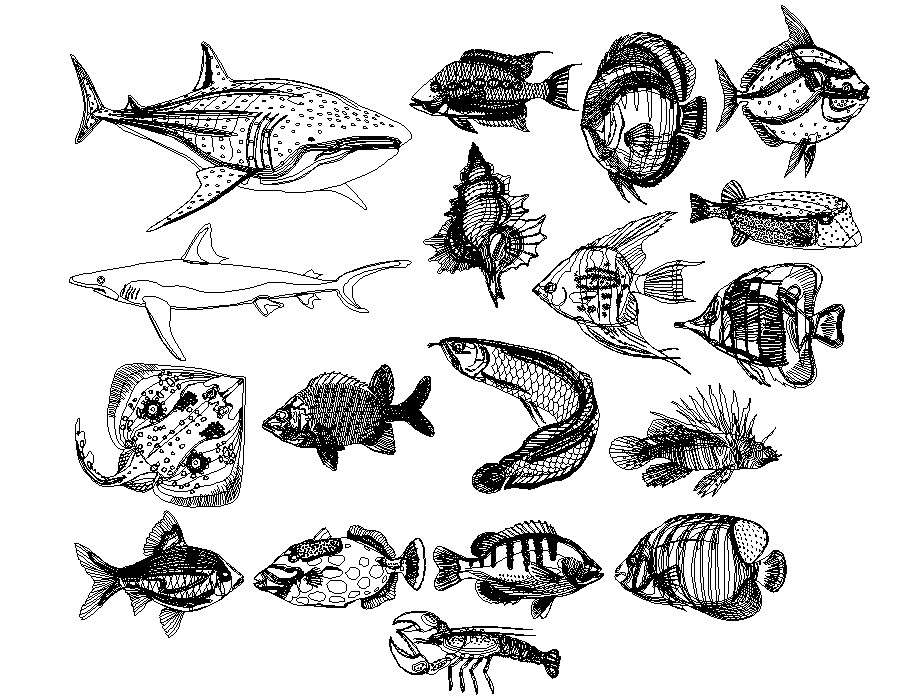 Aquatic animal CAD blocks
