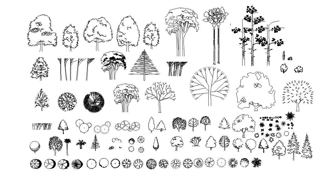 Autocad drawing of trees