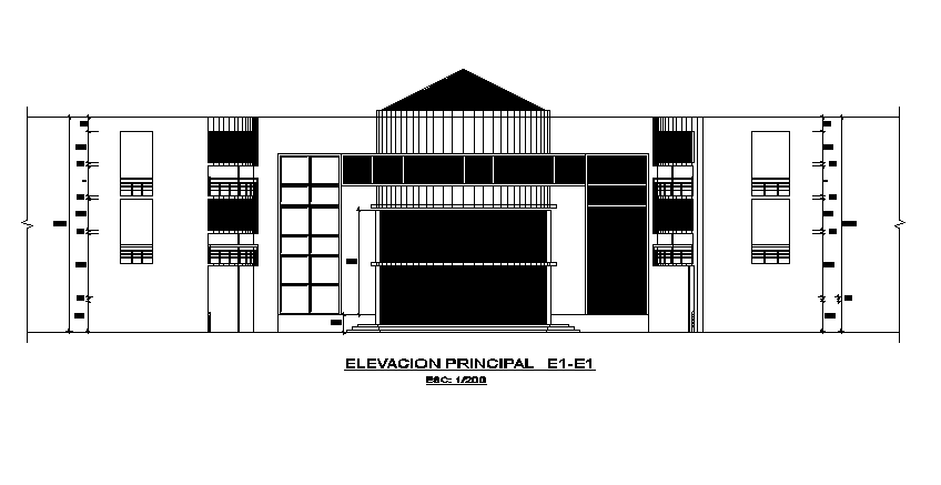 Big building elevation detail