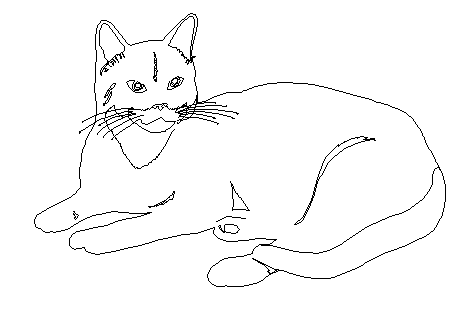 Cat front 2d elevation details