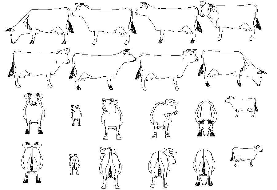 Cattle animal blocks 2d drawings dwg file