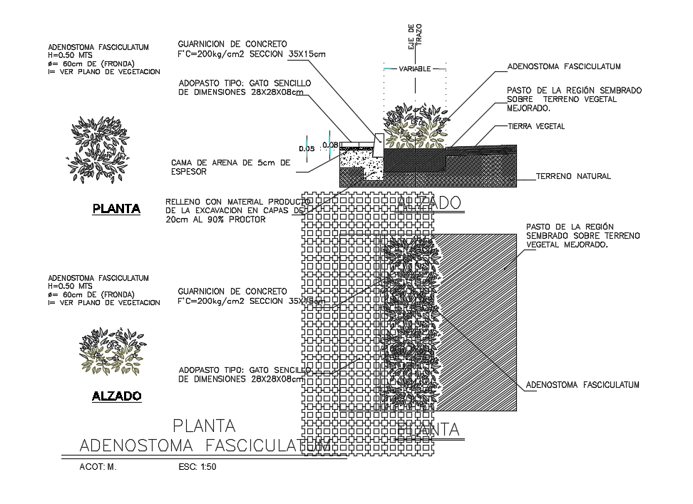 Chamise Plant AutoCAD Blocks Drawing Download DWG File
