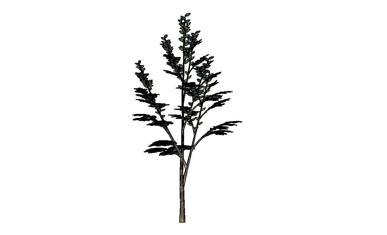 Free download Single Tree Cad Block