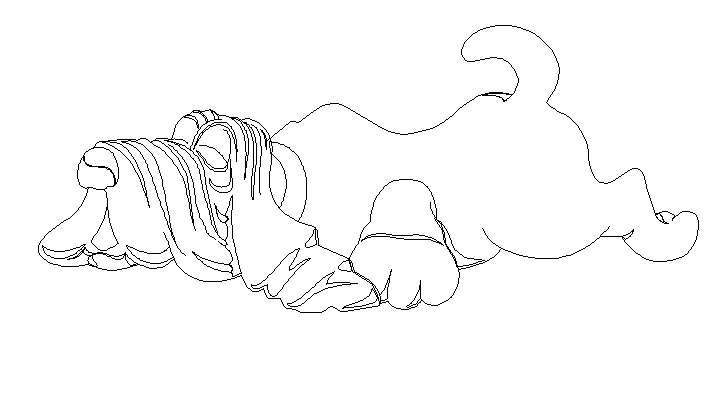 Front elevation of dog 