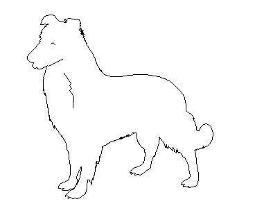Front view detail of dog