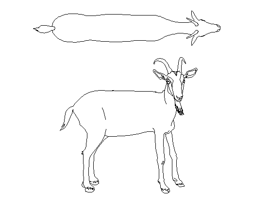 Goat 2d elevation detail