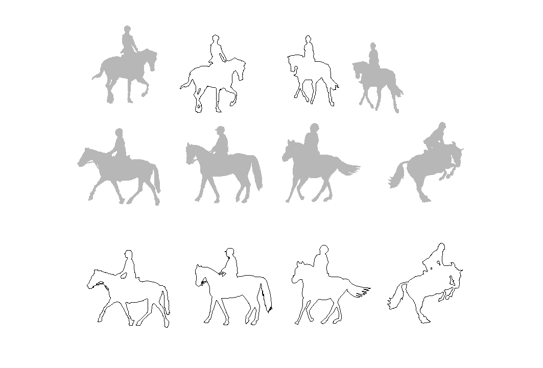 Horse rider plan detail dwg.