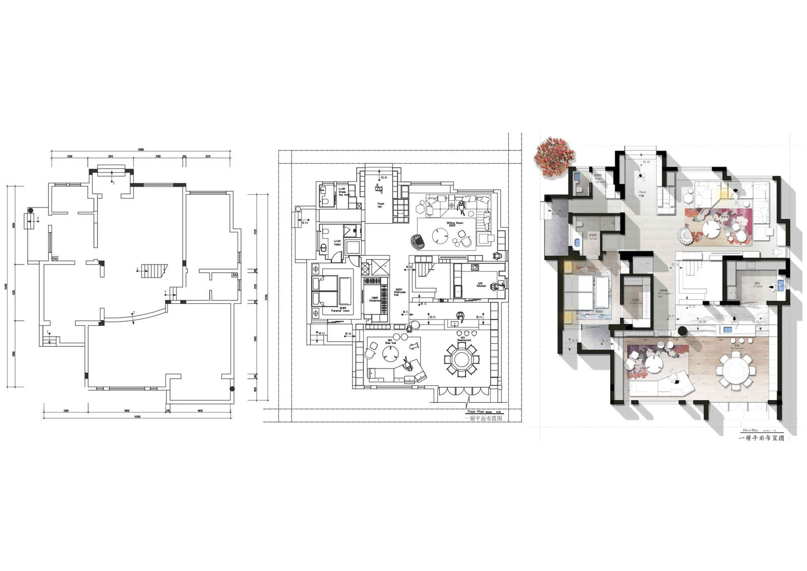 House plan with furniture layout and photoshop render with detailed dwg autocad drawing .