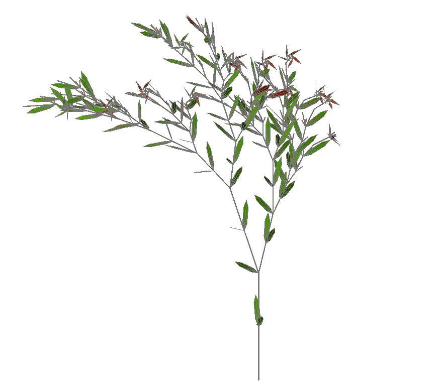 Landscaping plant detail 3d model layout file in dwg format