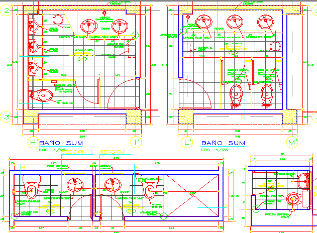 Layout plan of a sanitary section dwg file