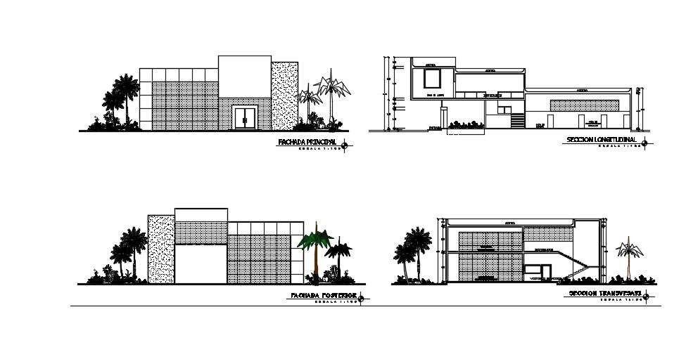 Office Building Elevation Design In AutoCAD File