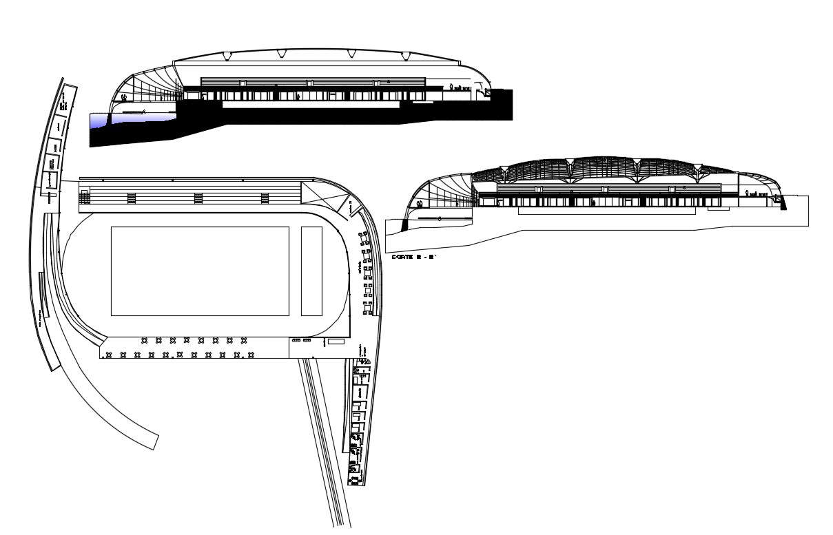 Olympic Swimming Pool Plan DWG File