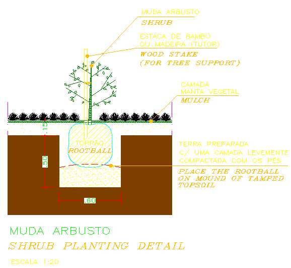 Plant Design 