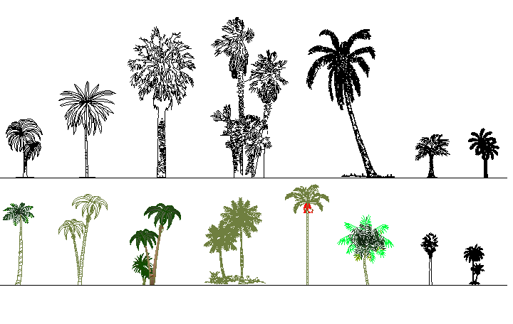 Plant tree detail dwg file