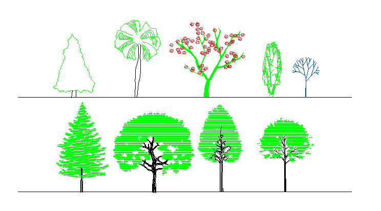 Plantation and trees details