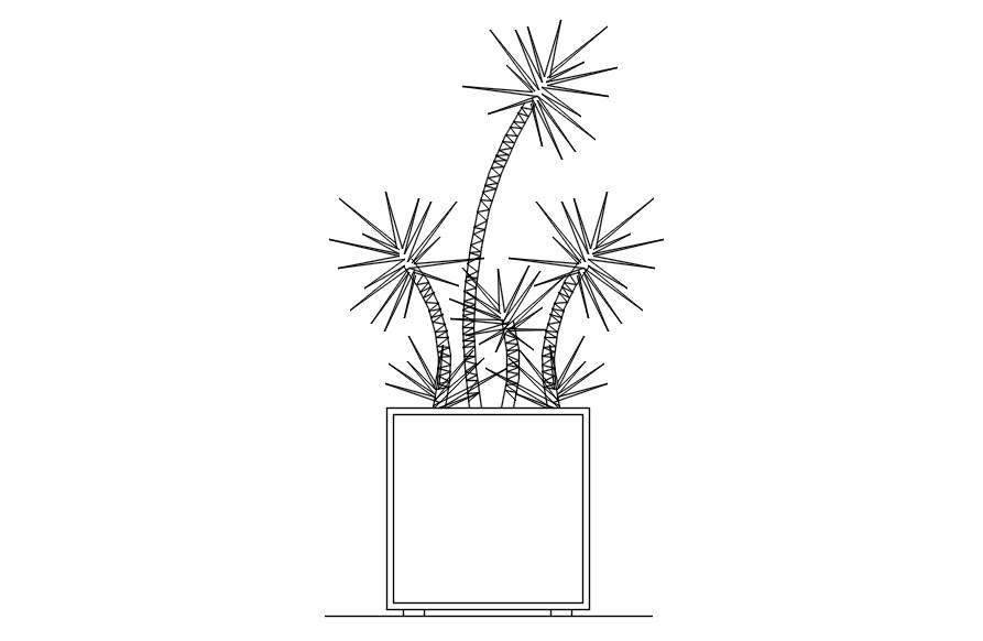 Plant elevation CAD blocks in AutoCAD, dwg file.