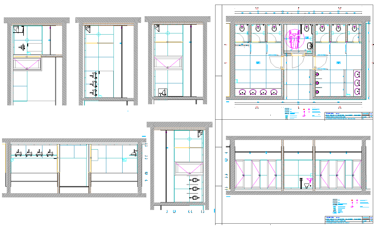 Public Toilet plan dwg file