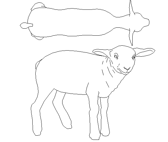 Ship design animal cad blocks dwg file