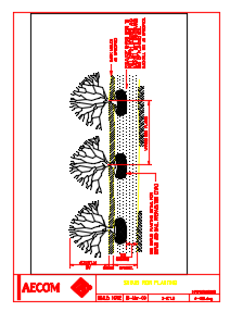 Shrub Row Planting Detail drawing