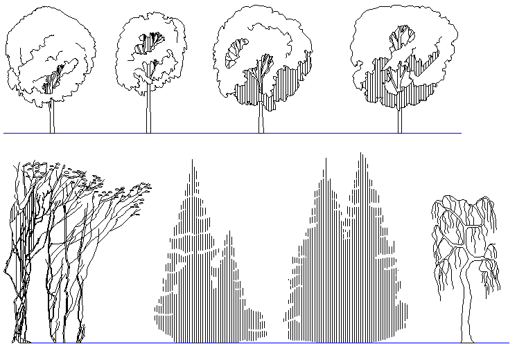 Skating tree elevation detail dwg file