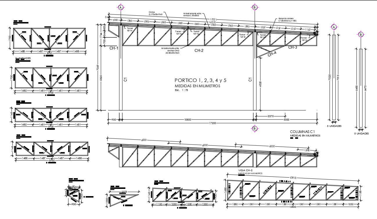 Steel Span Structure Design AutoCAD Drawing 