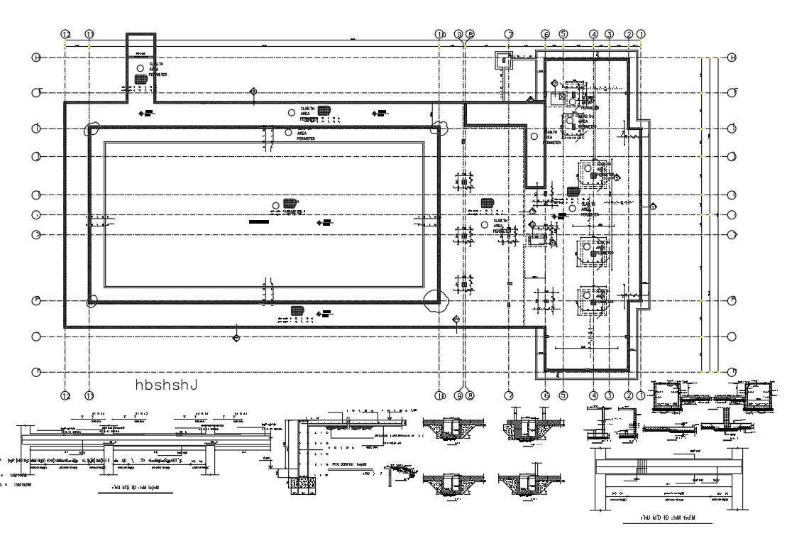 Swimming Pool Plan With Center Line CAD Drawing DWG File