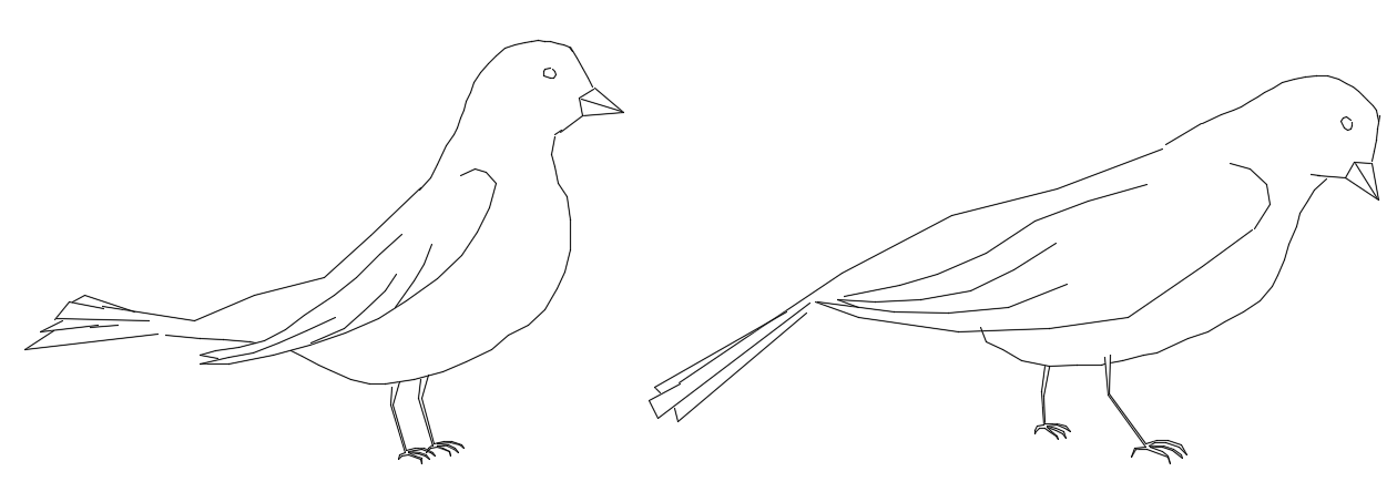 The 2D bird CAD drawing is given in this file