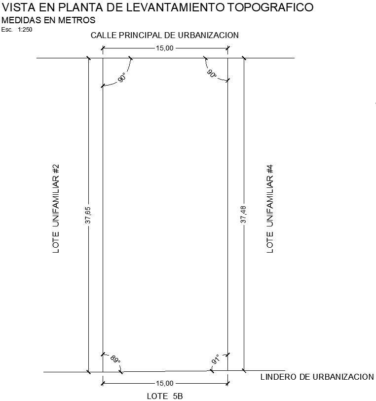 Topographic survey plan view with detailing 