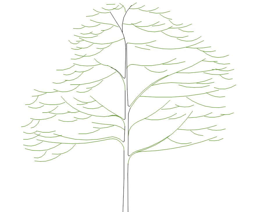 Tree CAD Blocks Free Download