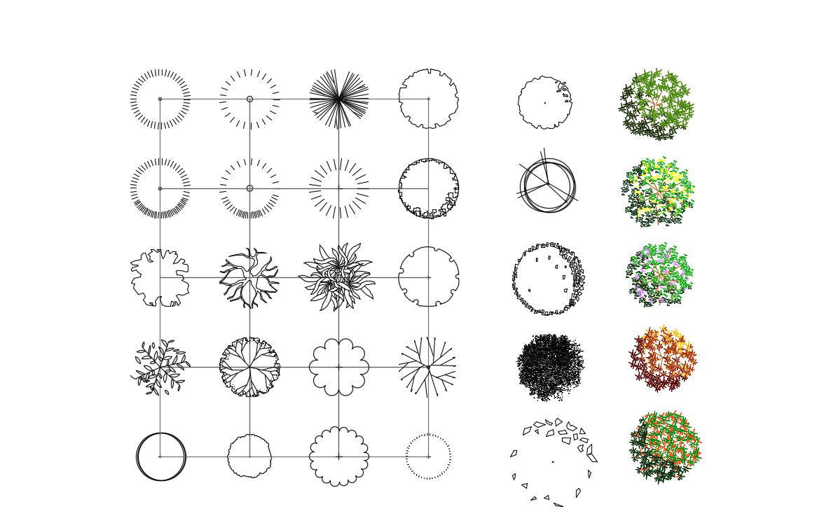 Tree Cad Free Download