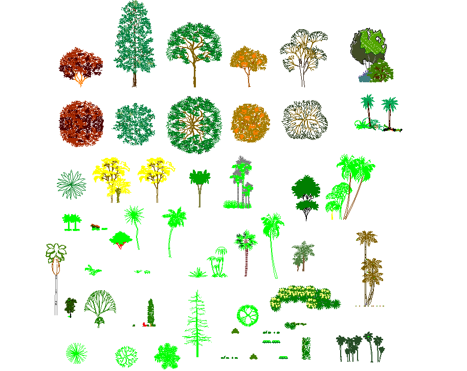 Tree cad plan detail dwg file.