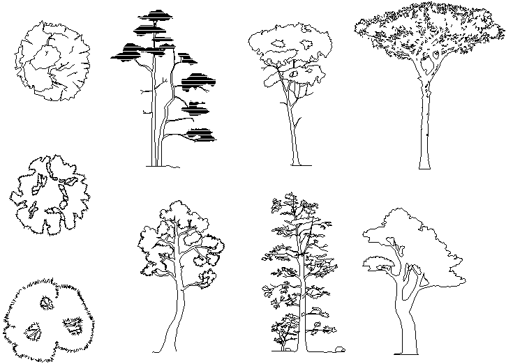 Tree detail dwg file