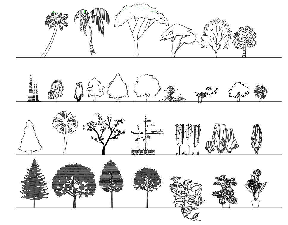 Tree plan design